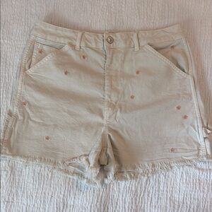American Eagle Outfitters Tan Cargo Shorts